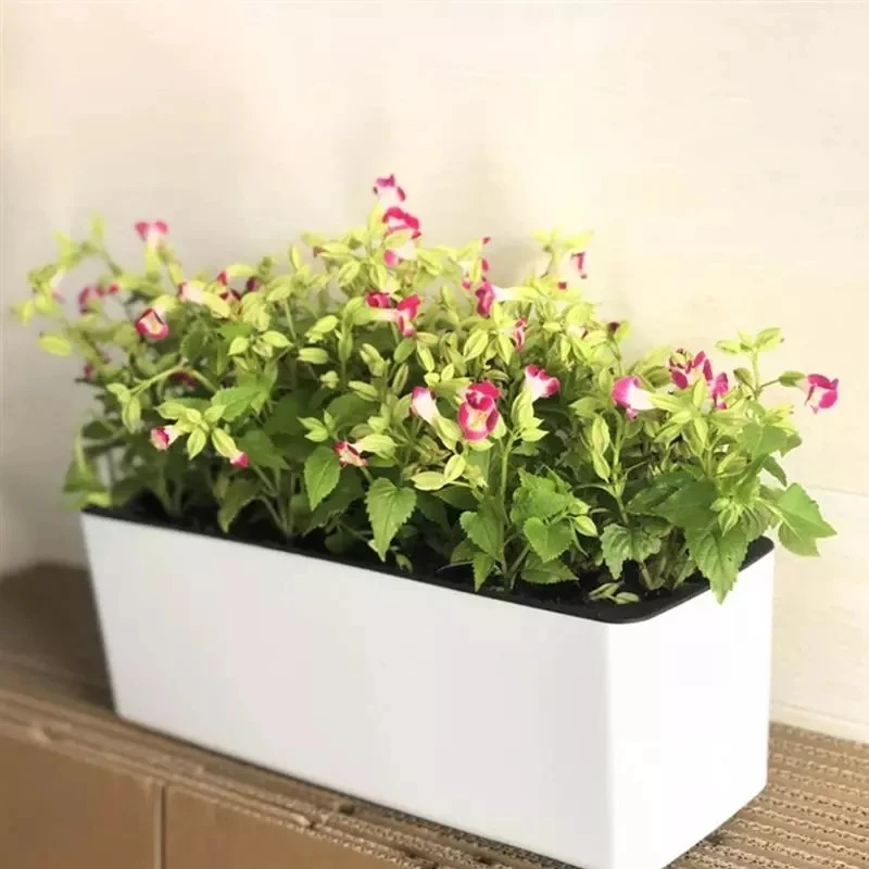 Automatic Plant Waterer - Pot de fleur rectangulaire paresseux, Pot