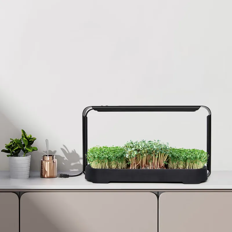 Système de culture hydroponiqu - Self-Watering Planter avis et prix