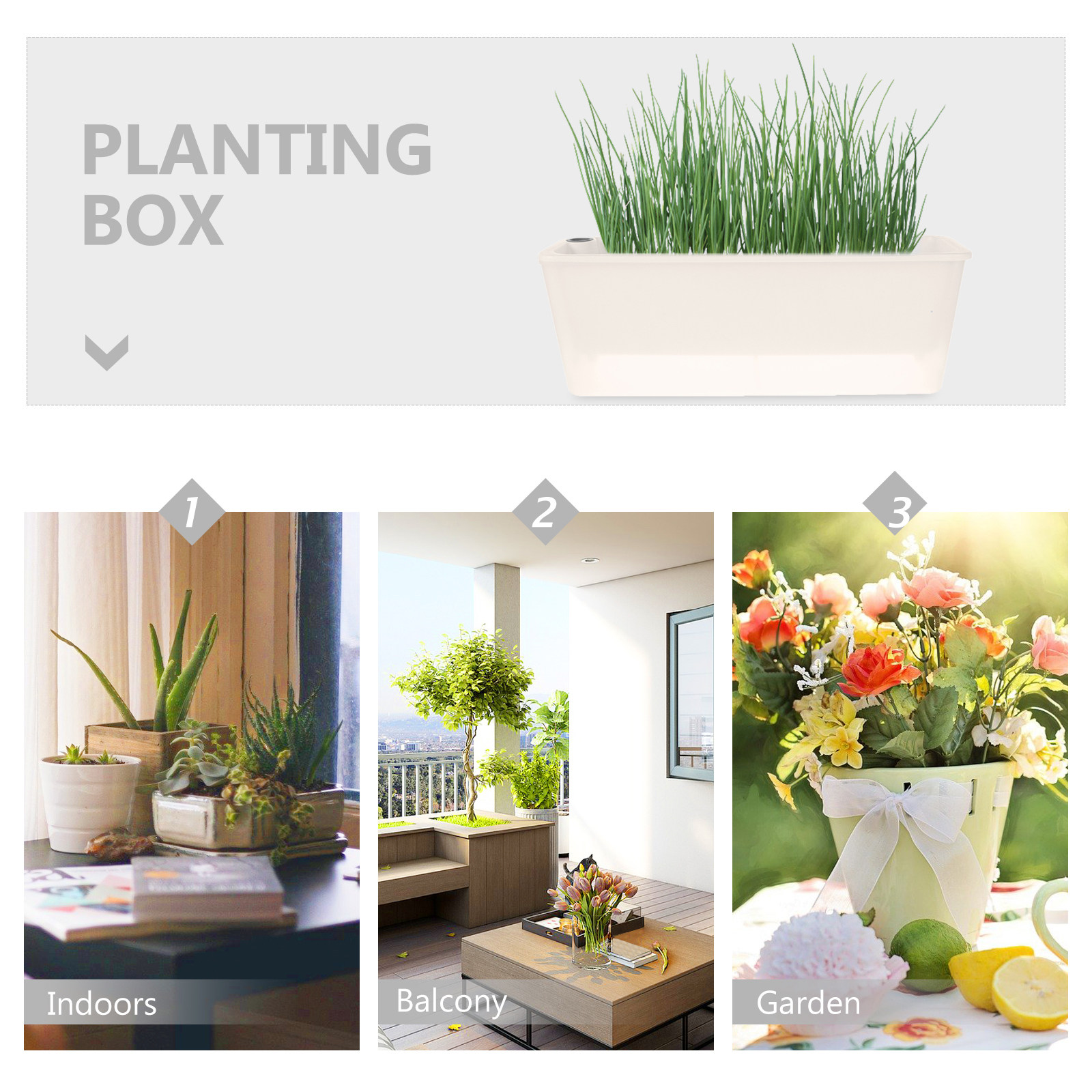 Jardinière rectangulaire, long - Self-Watering Planter avis et prix