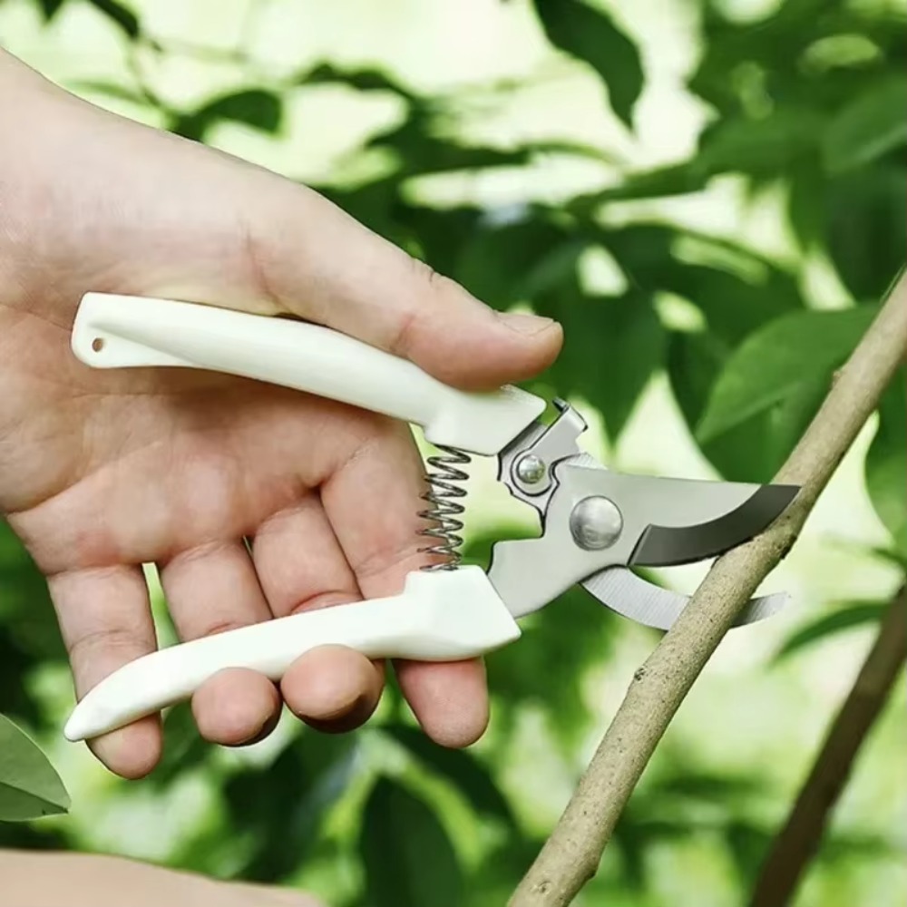 Couteau de taille professionne - Gardening Tools Essential avis et prix