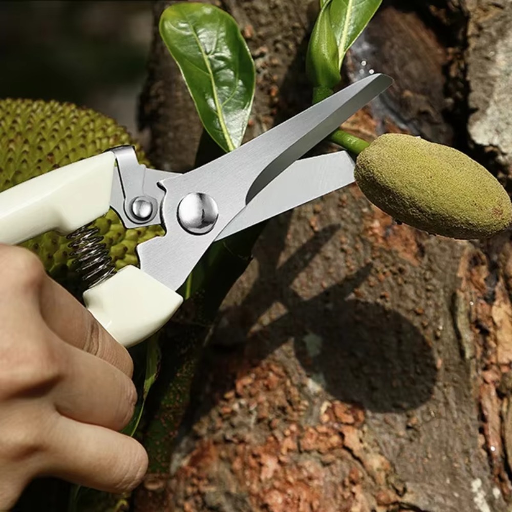 Couteau de taille professionne - Gardening Tools Essential avis et prix