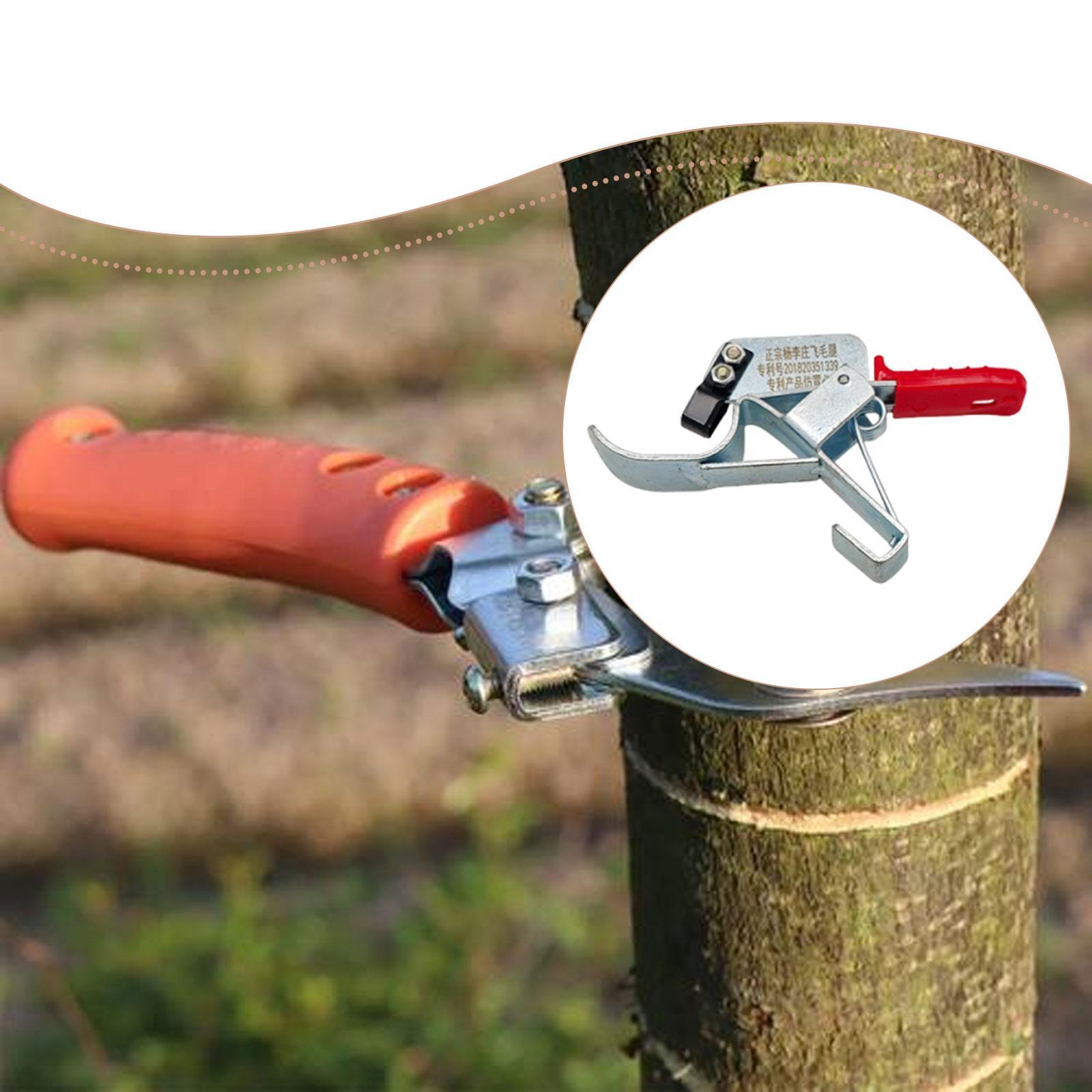 Outil de cerclage pour arbres  - Gardening Tools Essential avis et prix