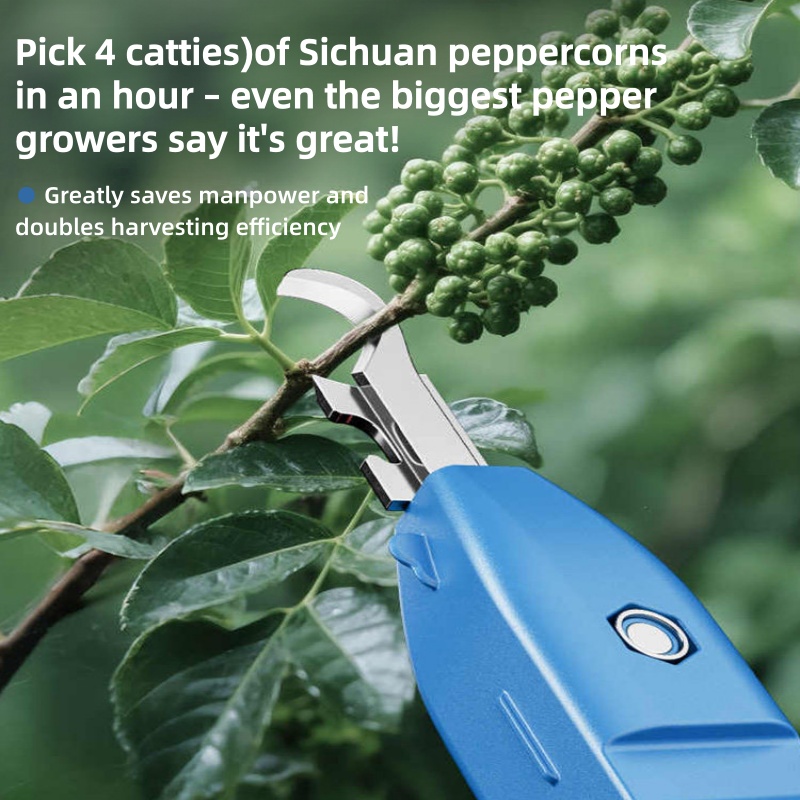 Ciseaux de cueillette multifon - Gardening Tools Vegetables avis et prix