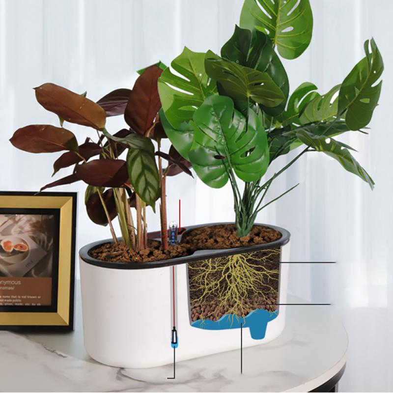 Plante d'Nikavec Indicateur de - Automatic Plant Waterer avis et prix